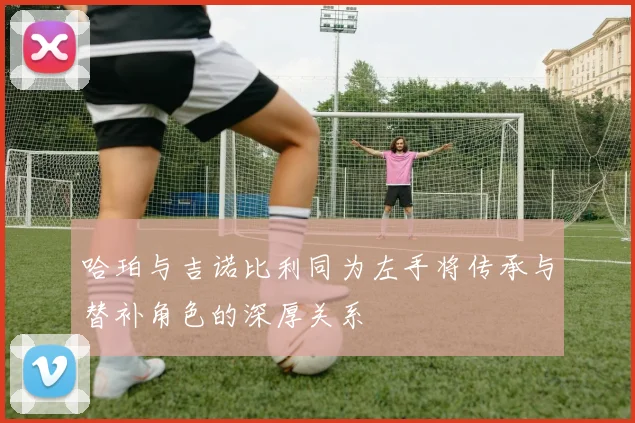 哈珀与吉诺比利同为左手将传承与替补角色的深厚关系