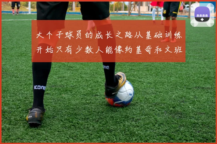 大个子球员的成长之路从基础训练开始只有少数人能像约基奇和文班那样成功