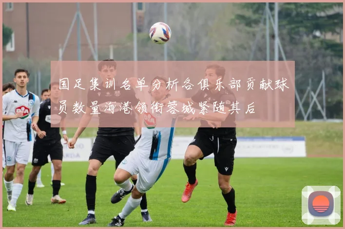 国足集训名单分析各俱乐部贡献球员数量海港领衔蓉城紧随其后